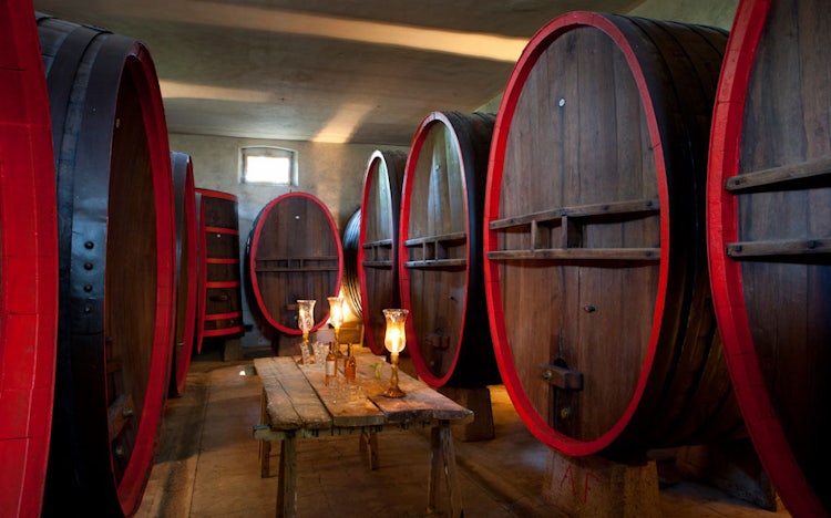 Wine cellar at B&B Villa Daniella near Florence