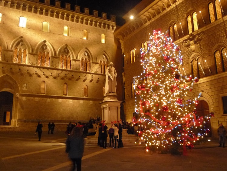 Chrsitmas trees and decorations in Siena