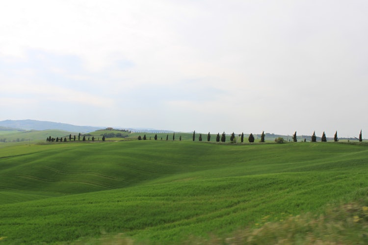 Beautiful landscapes in the Valdorcia area.