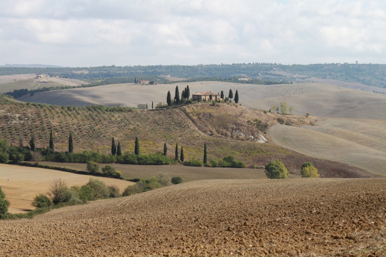 The Hills of Val d'Orcia 