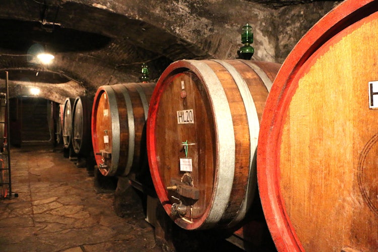 Wine tasting near Florence, Italy: top winter tours