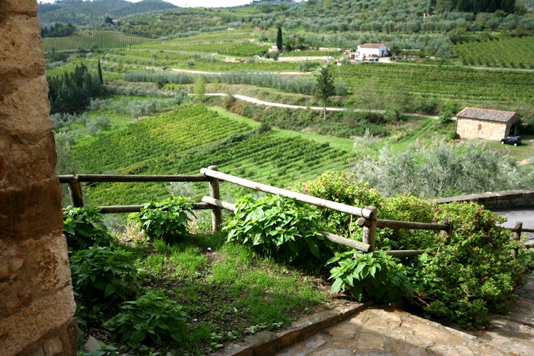 Overlooking the Chianti Classico territory near Greve in Chianti.