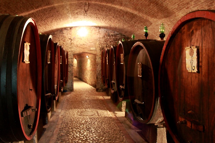 Wooden barrels for wine fermentation
